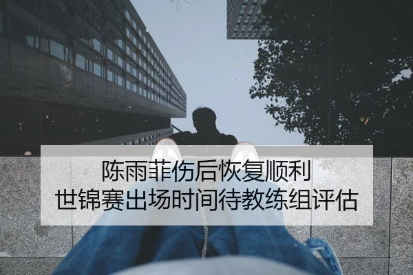 陈雨菲伤后恢复顺利 世锦赛出场时间待教练组评估 - BAJIESPORTS